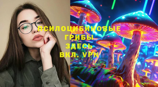 марки lsd Белокуриха